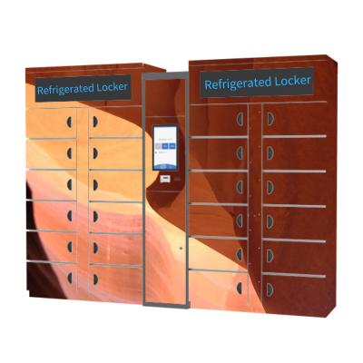 China Winnsen Smart Refrigerated Locker Electronic Smart Cabinet Vegetable Lockers for sale