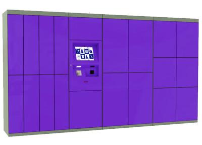 China Smart Dry Cleaning Lockers , Parcel Distribution Locker Laundry Self-Serving Cleaning Kiosk for sale