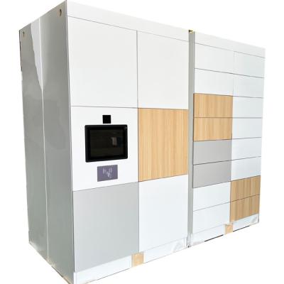 China High Security Steel Storage Lockers Wooden Cabinet Lock Smart Parcel System Metal 12 Door for sale