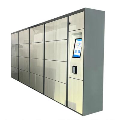 China Winnsen Smart Parcel Locker Intelligent Delivery Cabinet Fingerprint Code Smart Logistic Locker for sale