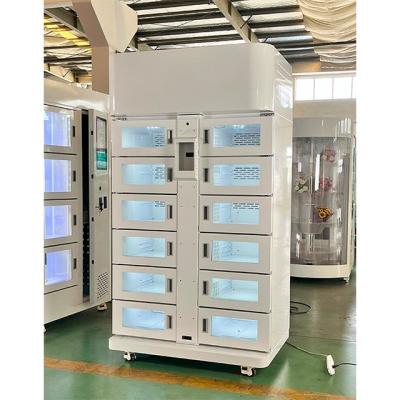 中国 メタルセルフサービス スマート 冷蔵食品 新鮮なロッカー 冷凍保存ロッカー 販売のため