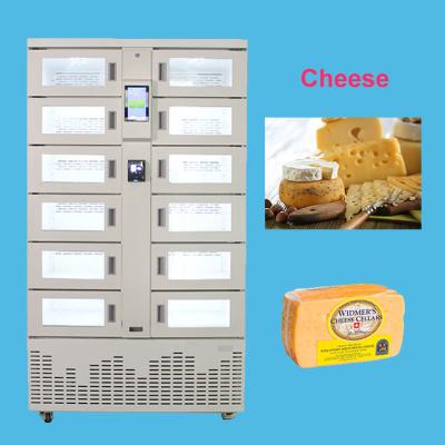 China Armário de venda livre com temperatura ambiente refrigerada para armazenamento de queijo embalado Entrega expressa à venda