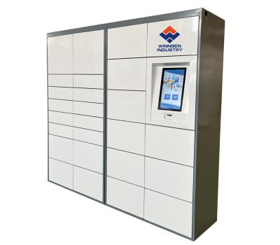 China China Smart Intelligent Parcel Delivery Locker With Pair To Open Connection For E-Commerce Online Purchase à venda