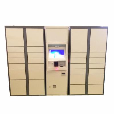 China Intelligent Logistics Parcel Delivery Lockers With Online Shopping Click & Collect Solution for sale