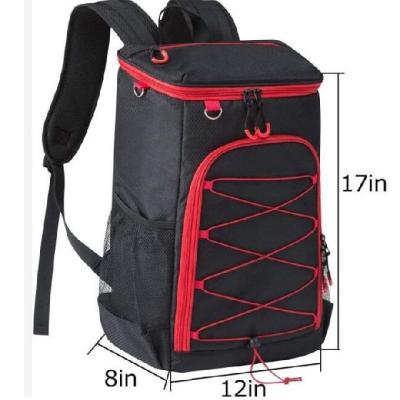 China 30 Cans Multifunction Nylon Food Insulated Cooler Backpack for sale