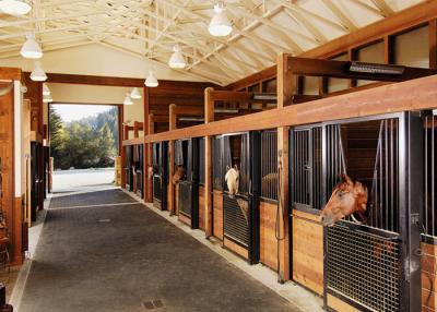 China Customize Horse Stall Panels Bamboo Infill Strong Metal Steel Frame for sale