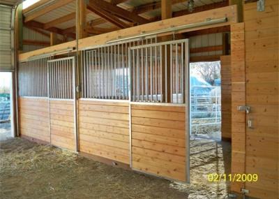 China Simple Pre Fab Horse Stall Panels 50 X 50mm Frame Steel Tube HDG / PC Finish for sale