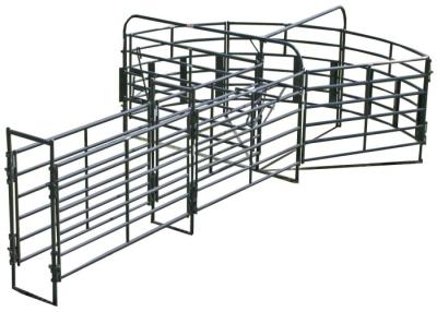 China Powder Coated Livestock Handling Equipment 8ft Adjustable Cattle Alleyway for sale