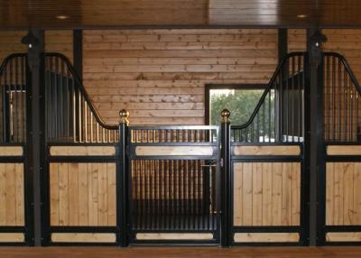 China Powder Coated European Horse Stalls Low Rise Version Smooth Steel Edge for sale