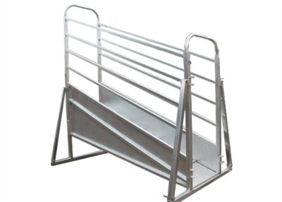 China Hot Dip Galvanized 4m Sheep Loading Ramp Plans Corrosion Resistance for sale