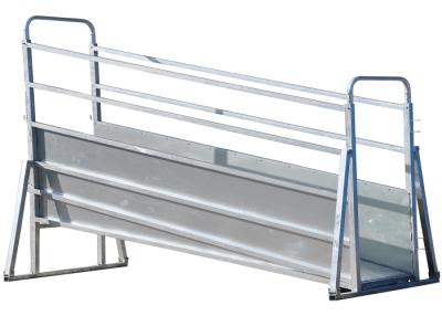 China Outdoor 3m Portable Loading Chute With Dual Pin Locking System Smooth Surface for sale