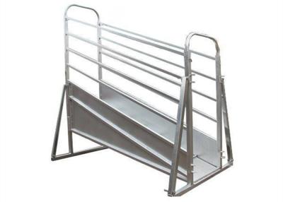 China Adjustable Mobile Cattle Ramp Overhead Bracing 3.6 / 4.8m Fixed Height for sale