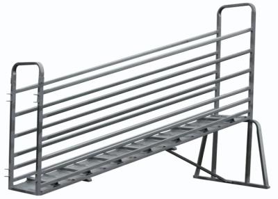 China Strong Sheep Loading Ramp , Fully Welded Construction Portable Sheep Ramp for sale
