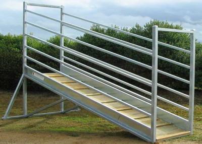 China 115mm X 42mm Oval Rail Cattle Loading Ramp 300mm Steel Side Sheet for sale