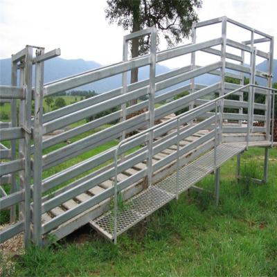 China Hot Dipped Galvanized Sheep Loading Ramp Plans Livestock Handling Equipment for sale