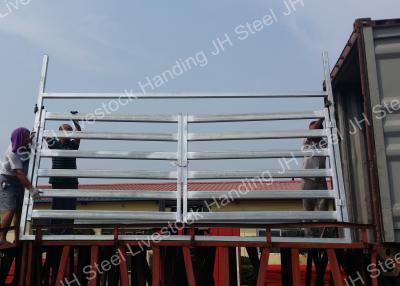 Chine 12ft de les portes en acier de ferme de cadre de 12ft de stalle résistante de cheval à vendre