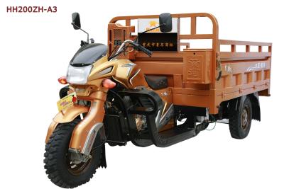 China 200CC 250cc Three Wheeler Electric Cargo Tricycle with Beautiful Heavy Fork for sale