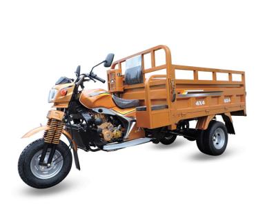 China Luxury Carriage Motorized Cargo Tricycle / Automatic 3 Wheel Motorcycle 250cc for sale