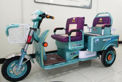 China Chinese 3 Wheeler with Two Seat , Three Wheel Electric Cargo Bike 800W for sale