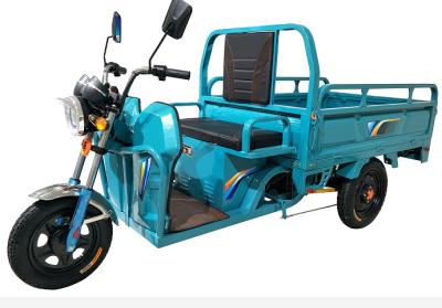 China Blue Three Wheel Cargo Motorcycle / Chinese Cargo Trike 800W Power 60V for sale