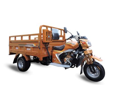 Chine La roue 3 a motorisé le tricycle de cargaison du tricycle 250cc intensifiant le trois-roues du chariot pour des adultes à vendre