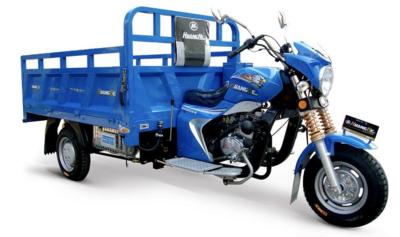 China Motorized Cargo Motor Tricycle , Three Wheel Cargo Motorcycle 151 - 200cc for sale