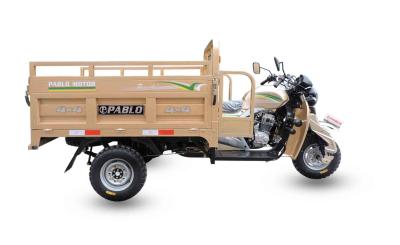 Chine Tricycle de moteur de cargaison de chariot du lecteur d'axe de ccc 200cc à vendre