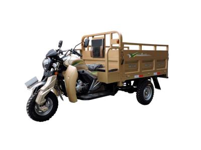 China Automatic Electric Cargo Tricycle 3 Wheel Motorcycle 200cc Unique Carriage for sale