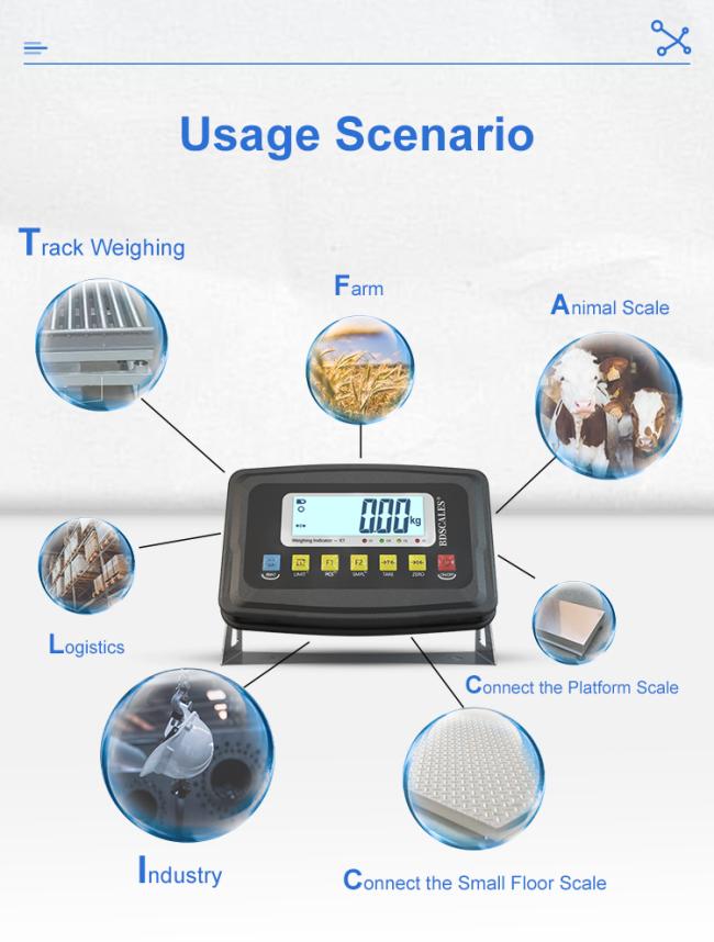 Precision Weighing Instrument Origin Factory OEM Electronic Weight Indicator Animal Balance Indicator