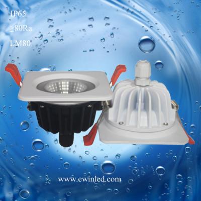 China Round/Square LED Dowlight Waterproof IP65 for sale