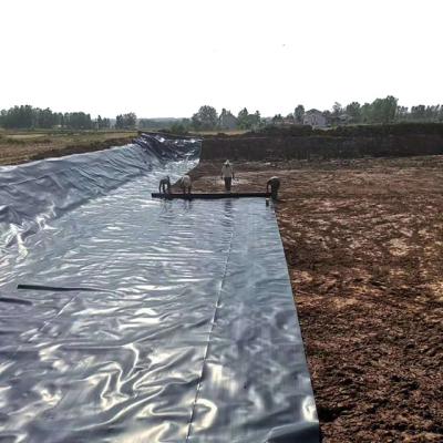China Industrial Design Style Geomembranes for 2mm Landfill Biodigester HDPE FISH POND LINER for sale