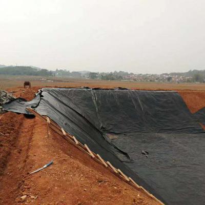 China Industrial Design Style Geomembranes for Landfill Anti-seepage and Drainage at Prices for sale