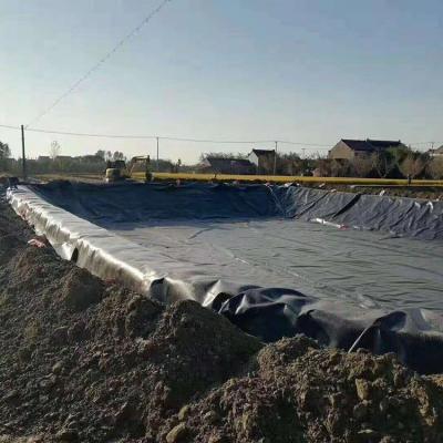 China Revestimiento de geomembrana para estanques de pescado vertederos presa impermeable Servicio posventa Venta HDPE en venta