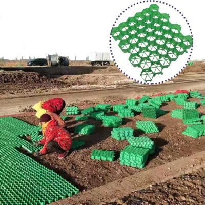 China Onsite Installation HDPE Plastic Green Grass Grid Parking Paver for Parking Lots for sale