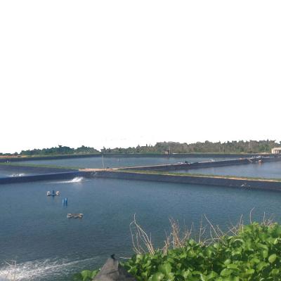 China 1m-10m Width Black/Green/White/Blue HDPE Pond Liner for Biofloc Fish Shrimp Farm Pond for sale