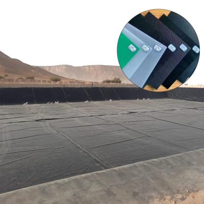 China 1.0mm 1.5mm Black Plastic Geomembrane for River and Tailings Reservoir Anti-seepage for sale