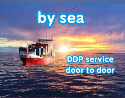 China DHL UPS FEDEX DDP Shipping Sea Shipping From China To Canada for sale