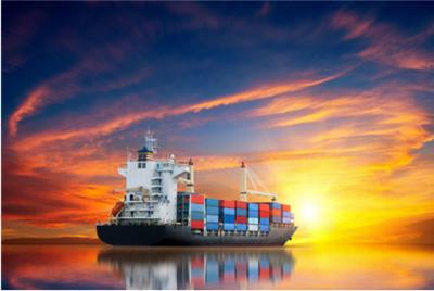 China Customs Clearance DDP Sea Shipping From China To USA Canada for sale