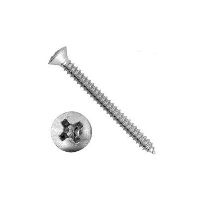 China Cross Recessed Raised Self Tapping Countersunk Screws M2 - M64 Standard for sale