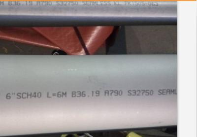 China Seamless SCH10 ASTM A790 12m Duplex Stainless Steel Pipe for sale