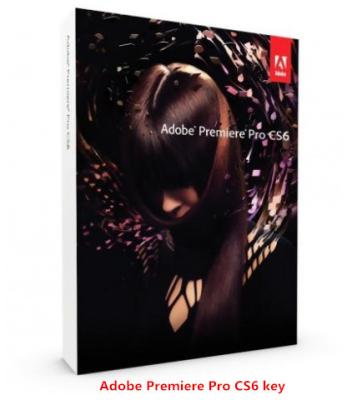 China Genuine Official Adobe Key Code For Promotional pro , Adobe Design Standard for sale
