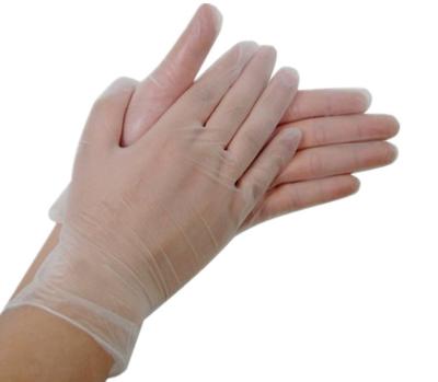 China Disposable Vinyl PVC gloves with powdered / powder free for sale