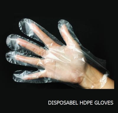 China Disposable HDPE / LDPE Plastic gloves transparent food gloves for sale