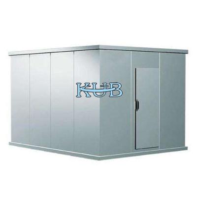 Chine 20 Cubic Cold Storage Parts Low Temperature Blast Freezer Cold Room With Insulation Panel à vendre
