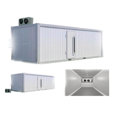 China Refrigeration Low Temperature Cold Storage Panel Minus 25 Degrees Celsius for sale
