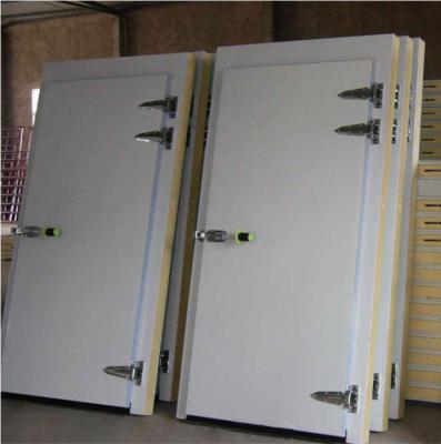 China 800*1800mm Cold Storage Door Parts Beautiful Appearance Excellent Sealing Insulation Performance for sale