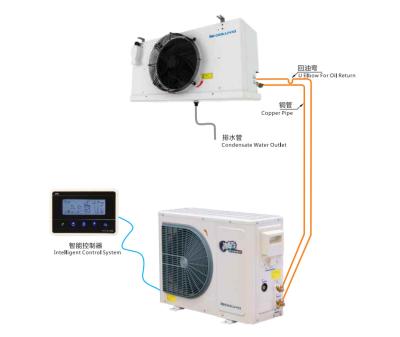 China DCF030AM Electronic expansion valve control cooling fast, high efficiency SCROLLTECH CONDENSING UNIT + UNIT COOLER for sale