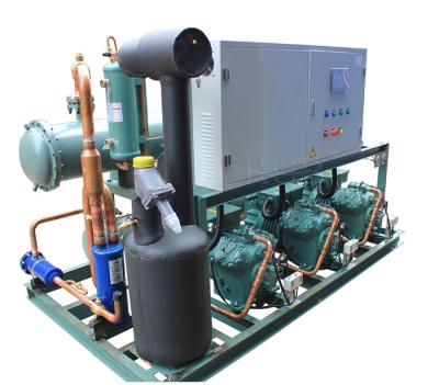 Chine Surchargez l'unité de condensation de réfrigération de protection avec le vaporisateur à refroidissement par eau et le condensateur à vendre