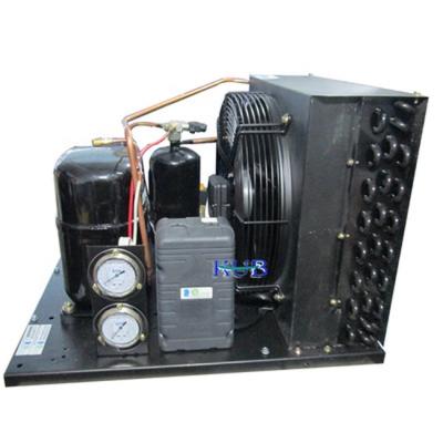 China TAG2522ZBR Commercial Condensing Units R404 Refrigerant Cold Storage Compressor Condensing Units for sale