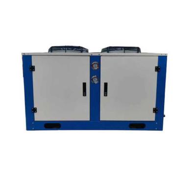 中国 xueying冷凍の二重段階の圧縮機単一機械単一および二段式圧縮機は転換します 販売のため